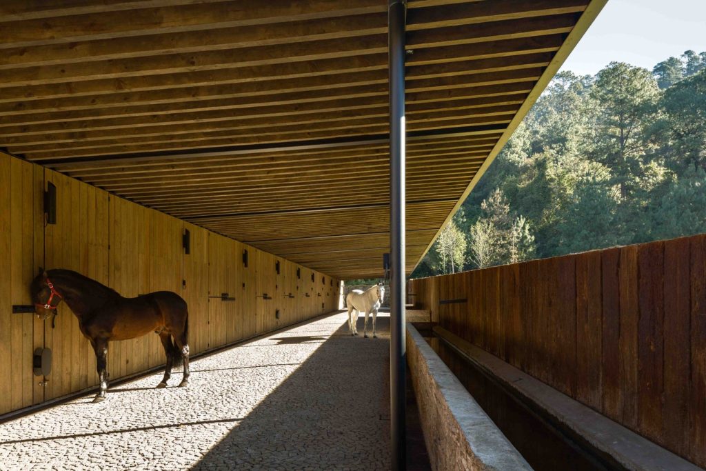 CENTRE EQUESTRE > PROJETS